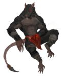  anthro bottomwear clothing loincloth male mammal mostly_nude neungsonie rodent ska_bloodtail skaven solo warhammer_(franchise) 