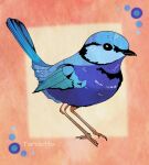  animal animal_focus artist_name bird color_guide english_commentary mixed-language_commentary no_humans orange_background original signature solo splendid_fairywren tarolotta translation_request 