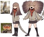  1girl :&lt; :o black_socks brown_footwear brown_hair brown_jacket brown_skirt colored_sclera constricted_pupils fang flying_sweatdrops full_body gegegekman highres jacket kneehighs legs_apart lizard_tail loafers long_hair long_sleeves motion_lines multiple_views open_mouth orange_eyes original photo-referenced photo_inset red_scarf reference_inset reptile_girl scarf shoes simple_background skirt socks standing surprised sweatdrop tail v_arms white_background wide-eyed yellow_sclera 