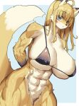 abs anthro biceps big_breasts bikini blush bottomless breasts canid canine clothed clothing female fox heterochromia hi_res huge_breasts looking_at_viewer mammal miyanokoko muscular muscular_thighs solo swimwear thick_thighs 