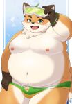  anthro belly blush bulge canid canine clothing eyewear fox fur goggles green_eyes gulf_rp hi_res iyo_(tamacolle) male mammal moobs navel nipples orange_body orange_fur overweight solo speedo suggestive_look swimwear tamacolle 