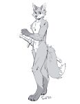  anthro canid canine fox hi_res male mammal melee_weapon monochrome shikokubo simple_background sketch solo sword weapon 