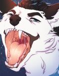  black_ears black_eyebrows black_hair black_nose blue_eyes bodily_fluids canid eyebrows fangs fur hair hi_res lionfloof looking_at_viewer male mammal mouth_shot narrowed_eyes open_mouth red_tongue saliva saliva_on_tongue saliva_string solo teeth tongue white_body white_fur yellow_body yellow_fur 