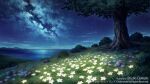  blue_sky bush copyright_name day flower galaxy glowing glowing_flower grass grasslands horizon island night night_sky no_humans ocean ono_tomohiro original rock scenery shadow sky star_(sky) starry_sky tree tree_shade water white_flower 