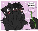  absurd_res anthro black_body black_fur blush canid canid_demon cerberus compliment demon dialogue disembodied_hand european_mythology eyewear flower fur glasses greek_mythology hellhound hi_res male mammal multi_head mythology plant shaboo simple_background solo 