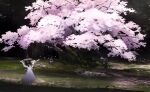  animal cherry_blossoms commentary creature day falling_leaves field forest grass haru_akira highres leaf moss nature no_humans original outdoors scenery tree 