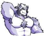  2022 abs anthro armpit_hair beard biceps body_hair canid canine canis chest_tuft deltoids facial_hair fur hair hand_behind_head looking_at_viewer male mammal muscular muscular_anthro muscular_male notched_eyebrow pecs pkdreem purple_body purple_fur solo triceps tuft white_hair wolf zeke_(pkdreem) 