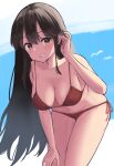  1girl :d absurdres akagi_(kancolle) alternate_costume bikini bird bra breasts brown_eyes brown_hair cloud front-tie_top hair_between_eyes highres kantai_collection lanthan long_hair medium_breasts open_mouth red_bikini red_bra sky smile standing swimsuit underwear 