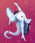  ace_(kamex) animal_genitalia animal_penis anthro claws dancing dragon equine_genitalia equine_penis facial_hair fluffy fluffy_tail genitals goatee hair hi_res horn long_ears long_hair male maryy2323 nipples pawpads penis pink_background pole pole_dancing simple_background slim solo tail 