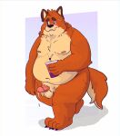  06betos11 2023 anthro balls belly big_belly blush bodily_fluids canid canine fox genital_fluids genitals hi_res male mammal moobs navel nipples orange_body overweight overweight_male penis precum solo 