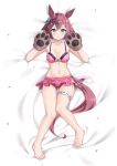 1girl alternate_costume animal_ears animal_hands bed breasts collarbone commentary_request cstv dog_paws full_body hair_between_eyes hair_flaps hair_ornament highres horse_ears horse_girl horse_tail medium_breasts medium_hair navel open_mouth petals pink_hair sakura_chiyono_o_(umamusume) solo swimsuit tail umamusume 