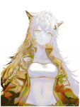  1girl animal_ear_fluff animal_ears arknights bandeau breasts closed_mouth collarbone commentary_request grey_eyes hair_between_eyes hair_ornament hairclip highres jacket lappland_(arknights) light_smile long_hair long_neck looking_at_viewer medium_breasts navel open_clothes open_jacket runamonet scar scar_across_eye simple_background solo strapless tube_top twitter_username upper_body very_long_hair white_background white_hair 