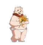  anthro bear belly bouquet clothing fur furrybar hi_res male mammal navel overweight polar_bear scarf simple_background smile snow_(furrybar) solo translucent translucent_clothing underwear ursine white_background white_body white_fur ztmylq9jhokxdyu 