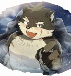  anthro bare_chest bathing blush canid canine canis domestic_dog eyebrows fur grey_body grey_fur hi_res hot_spring lifewonders looking_at_viewer male mammal moritaka nipples partially_submerged pecs smile solo thick_eyebrows tokyo_afterschool_summoners water zri_088 