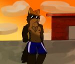  5_fingers bottomwear brown_body brown_fur canid canine canis clothed clothing domestic_dog eyewear fingers fur male mammal muscular muscular_male partially_clothed pyonc shorts solo sunglasses sunset 