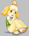  animal_crossing anthro barely_visible_genitalia barely_visible_pussy bottomless bottomless_female canid canine canis clothed clothing domestic_dog female genitals grey_background hi_res isabelle_(animal_crossing) mammal nintendo ohbunti panties_around_legs pawpads pussy shih_tzu simple_background solo toy_dog 
