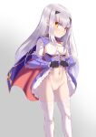  1girl absurdres black_gloves blue_cape blue_dress breasts cape censored clothes_lift dress dress_lift fairy_knight_lancelot_(fate) fairy_knight_lancelot_(second_ascension)_(fate) fate/grand_order fate_(series) forked_eyebrows gloves highres long_hair long_sleeves looking_at_viewer mosaic_censoring navel no_panties red_cape reon-shi sidelocks small_breasts solo thighhighs thighs two-tone_cape white_hair white_thighhighs yellow_eyes 