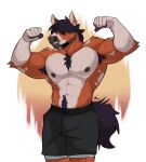  abs anthro biceps bottomwear clothed clothing equid equine facial_hair fur hair hair_over_eyes hi_res horse male mammal muscular muscular_anthro muscular_male nipples pecs pose shorts shorts_only sideburns smile solo tail topless valthelewdtino 