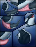  ambiguous_gender ambiguous_prey animal_genitalia animal_penis baleen_whale belly big_belly big_penis bloated cetacean cetacean_genitalia cetacean_penis cock_vore comic dolorcin dolphin duo erection feral feral_pred feral_prey genitals hi_res huge_penis humpback_whale hyper hyper_belly hyper_genitalia hyper_penis larger_prey male male_pred mammal marine mass_vore oceanic_dolphin orca penile penis simple_background smaller_pred soft_vore stuffing tapering_penis toothed_whale underwater vore water 