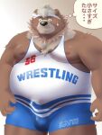  anthro bear belly brown_body brown_fur clothed clothing erection erection_under_clothing fur goro_(live_a_hero) lifewonders live_a_hero male mammal moonring1287 musclegut nipples pecs solo tight_clothing wrestling_singlet 