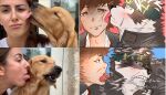  accessory anthro blush brown_hair canid canine canis cheek_lick dr.whiger duo face_lick fur grey_body grey_fur hair headband hi_res horkeu_kamui_(tas) human humor licking lifewonders male male/male mammal parody protagonist_(tas) reference_photo tokyo_afterschool_summoners tongue tongue_out twink_protagonist_(tas) wolf 