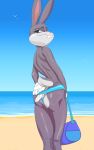  bag beach bugs_bunny butt clothed clothing clothing_aside clothing_pull crossed_legs fur gloves grey_body grey_fur handwear hi_res jackofak lagomorph leporid looking_back looney_tunes male mammal outside panties panties_aside panty_pull partially_clothed presenting presenting_hindquarters rabbit raised_tail rear_view seaside slender_body slim solo swimming_trunks swimwear tail turning_back underwear underwear_aside underwear_pull warner_brothers 