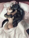  anthro bed bgn biceps black_body breasts dante_(bgn) domestic_ferret dragon female furniture grey_body group hi_res horn intersex intersex/male jesse_bolanos male mammal mephitid muscular muscular_anthro muscular_male mustelid musteline nipples nude pecs scalie skunk smile trio true_musteline weasel 