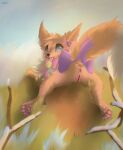  2022 ambiguous_gender anthro anus bell blood blush bodily_fluids bow_ribbon bracelet brown_body brown_fur canid canine caypaisley claws decoration digital_media_(artwork) duo eevee eeveelution emote feet female female_focus feral fur generation_1_pokemon generation_2_pokemon genitals gracie_(sweetcupcake) hi_res jewelry lying male mammal nintendo nosebleed pawpads pokemon pokemon_(species) presenting pupils pussy quadruped shadow solo solo_focus string tail tan_body tan_fur toes tuft umbreon 