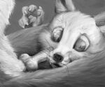  2022 absurd_res ambiguous_gender animal_genitalia animal_penis anthro anthro_on_anthro canid canine canine_genitalia canine_penis cheek_tuft claws cross-eyed detailed detailed_eyes detailed_fur duo erection faceless_character faceless_male facial_tuft fox fur genitals grey_background greyscale head_between_thighs hi_res imminent_oral imminent_sex knot looking_at_another looking_at_genitalia looking_at_partner looking_at_penis male male/ambiguous mammal monochrome nude penis penis_in_face pupils sheath simple_background sitting slit_pupils toothandclaw tuft whiskers 