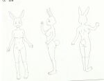  anthro beastars breasts female fur haru_(beastars) hi_res humanoid lagomorph leporid mammal model_sheet nude nude_anthro orange_studios rabbit solo 