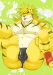  anthro belly blep briefs clothing felid fur green_eyes hi_res legs_up lifewonders linorange0212 macan_(tas) male mammal muscular muscular_anthro muscular_male nipples pantherine pecs solo spread_legs spreading striped_body striped_fur stripes tiger tokyo_afterschool_summoners tongue tongue_out underwear yellow_body yellow_fur 