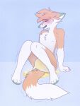  anthro blush bodily_fluids canid canine canis cheek_tuft clothed clothing diaper embarrassed facial_tuft fluffy fluffy_tail fox fur genital_fluids hi_res ignoremeee22 male mammal orange_body orange_fur peeing roffifox shaking solo sweat sweatdrop tail trembling tuft urine urine_pool watersports wearing_diaper wet_diaper wetting wetting_diaper 
