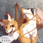  2023 acky05 animate_inanimate anthro bdsm bodily_fluids bondage bound brown_body brown_fur bsdm canid canine clothing costume detachable detachable_head featureless_crotch fox fur fursuit headless hi_res hollow_body japanese_text kemono living_clothing living_fursuit male mammal open_mouth red_eyes restraints rope rope_bondage simple_background solo sweat sweatdrop tail text tongue translation_request zipper 