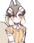  1girl absurdres animal_ears brown_eyes brown_hair brown_sweater chipmunk_ears chipmunk_girl chipmunk_tail extra_ears hair_ornament highres kanmoku-san kemono_friends multicolored_hair shirt short_hair siberian_chipmunk_(kemono_friends) simple_background solo sweater tail upper_body white_hair white_shirt 
