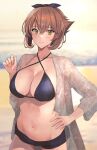  1girl bikini black_bikini blush breasts brown_hair cleavage collarbone cowboy_shot criss-cross_halter green_eyes hair_between_eyes halterneck highres kantai_collection kasumi_(skchkko) large_breasts long_sleeves looking_at_viewer mutsu_(kancolle) navel open_clothes open_mouth short_hair smile solo swimsuit 