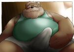  2023 anthro bear beard belly big_belly brown_body bulge clothed clothing erection erection_under_clothing facial_hair genital_outline hi_res kemono male mammal mature_male mustache overweight overweight_male penis_outline shirt solo topwear underwear yanununununu 