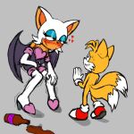  &lt;3 age_difference alcohol anthro bat beverage blush canid canine drunk duo female fox hi_res imminent_sex male male/female mammal miles_prower older_female rouge_the_bat sega shaking sonic_the_hedgehog_(series) substance_intoxication unknown_artist younger_male 