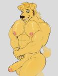  2023 abs absurd_res anthro areola balls barazoku biceps big_balls big_muscles big_pecs big_penis bird_dog canid canine canis deltoids domestic_dog erection eyebrows flexing foreskin fur genitals golden_retriever grey_background hi_res huge_muscles humanoid_genitalia humanoid_penis hunting_dog male mammal monsterballz1 muscular muscular_anthro muscular_male nao_o&#039;connor nipples nude pecs penis pose retriever simple_background smile solo standing teeth tuft 
