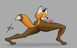  2023 animal_genitalia animal_penis anthro armless binary_drawing brown_body brown_fur butt canid canine canine_genitalia canine_penis crouching dale_(daleport996) daleport996 dipstick_tail erection fox fur genitals grey_background halfcut head_tuft looking_at_viewer looking_back low-angle_view male mammal markings nude orange_body orange_fur outline penis plantigrade pose raised_heel rear_view red_fox shaded signature simple_background smile smirk smirking_at_viewer solo stretching swb tail tail_markings three-quarter_view tuft white_body white_fur 