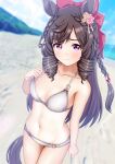  beach bikini black_hair blush bow breasts collarbone daiichi_ruby_(umamusume) drill_hair flower hair_bow hair_flower hair_ornament lens_flare long_hair looking_at_viewer naruruka0805 navel ocean sky small_breasts smile stomach swimsuit umamusume 