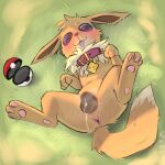  1:1 absurd_res animal_genitalia animal_pussy anus blush blush_lines bodily_fluids canine_genitalia canine_pussy collar eevee female feral fur generation_1_pokemon genital_fluids genitals grass hi_res hindpaw in_heat kapri mammal name_tag nintendo nude open_mouth pawpads paws plant pokeball pokemon pokemon_(species) pussy pussy_juice solo spiral_eyes studded_collar tail tongue whiskers 