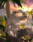  1boy abs absurdres adjusting_eyewear animal_ears arknights bara biceps black_male_swimwear bulge cloud cloudy_sky facial_hair furry furry_male goatee highres large_hands large_pectorals looking_at_viewer male_focus male_swimwear mountain_(arknights) muscular muscular_male no_nipples onlybwg3 palm_tree pectorals scar scar_across_eye scar_on_arm short_hair sky smile solo spread_legs stomach sunglasses sunset swim_trunks thick_eyebrows thighs tiger_boy tiger_ears topless_male tree white_hair 