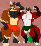  2018 5_fingers anthro armpit_hair black_ears black_nose black_tail_tip body_hair bulge canid canine chest_hair clothed clothing daniel_foxtowers detailed_bulge digitigrade dipstick_tail duo fingers flexing_bicep flexing_both_biceps fox fur gloves_(marking) green_clothing green_inner_ear green_tail_tip green_underwear happy hi_res leg_markings looking_at_viewer male mammal markings muscular muscular_anthro muscular_male orange_body orange_clothing orange_fur orange_underwear pink_background plantigrade red_body red_fur simple_background size_difference socks_(marking) somniumfox tail tail_markings underwear underwear_only victor_johansen 