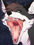  black_ears bodily_fluids canid cheek_tuft facial_tuft fangs fur glistening glistening_eyes green_eyes green_pupils grey_body grey_fur grey_hair hair hi_res inner_ear_fluff lionfloof looking_at_viewer male mammal mouth_shot open_mouth pupils red_tongue saliva saliva_string simple_background solo teeth tongue tuft white_body white_fur white_inner_ear_fluff 