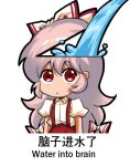  1girl bilingual bow chibi chinese_text english_text engrish_text fujiwara_no_mokou hair_bow jokanhiyou meme mixed-language_text pants puffy_short_sleeves puffy_sleeves ranguage red_pants short_sleeves simple_background simplified_chinese_text solo suspenders touhou translation_request water white_background white_bow 