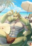  2015 5_fingers abs anthro beach beach_chair biceps bodily_fluids brown_clothing brown_speedo brown_swimwear bulge clothing cloud coconut coconut_tree countershading digital_media_(artwork) dragon drupe_(fruit) eyebrows fingers food fruit fruit_tree green_body green_scales horn looking_at_viewer male muscular muscular_anthro muscular_male open_mouth palm_tree parasol pecs plant pupils sand scales scalie sea seashell seaside shading_eyes shell shoreline sitting sitting_on_ground sky slit_pupils soddy solo speedo spread_legs spreading sweat swimwear tree vaan_(zivanedison) water white_body wingless_dragon yellow_eyes 