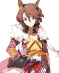  1girl animal_ears blue_eyes brown_hair closed_mouth expressionless fur-trimmed_jacket fur_trim hair_between_eyes hand_in_pocket highres hikawayunn horse_ears jacket long_sleeves looking_at_viewer midriff narita_taishin_(umamusume) navel open_clothes open_jacket pink_jacket shirt short_hair simple_background sketch solo tied_shirt umamusume upper_body white_background yellow_shirt 