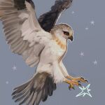  art_bird_owl avian beak bird bird_legs falcon falconid feathered_tail feathered_wings feathers feral hi_res multicolored_body multicolored_feathers orange_eyes sky solo star starry_sky tail wings 