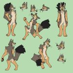  anthro canid canine feralasar fluffy fluffy_tail fox green_background male mammal model_sheet natural_colors short_male simple_background size_difference skinny_male smaller_male solo swift_fox tail twostepstanley yellow_eyes 