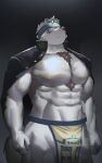  anthro asian_clothing bandanna bottomwear brown_body brown_fur brown_hair canid canine canis chest_tuft clothing east_asian_clothing frown fur gakuran hair hi_res horkeu_kamui_(tas) japanese_clothing japanese_school_uniform kerchief lifewonders loincloth male mammal muscular muscular_arms muscular_male muscular_thighs pecs school_uniform solo sv_grart tokyo_afterschool_summoners tuft uniform white_body white_fur white_hair wolf yellow_eyes 